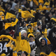 Illustration for article titled Steelers Fans